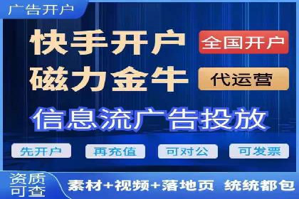 百度推广在电商行业的应用案例分析